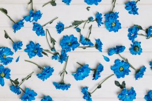 pretty-blue-flowers