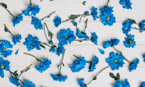 pretty-blue-flowers