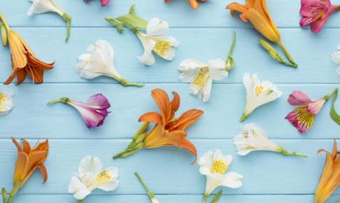 top-view-arrangement-colorful-alstroemeria-lilies
